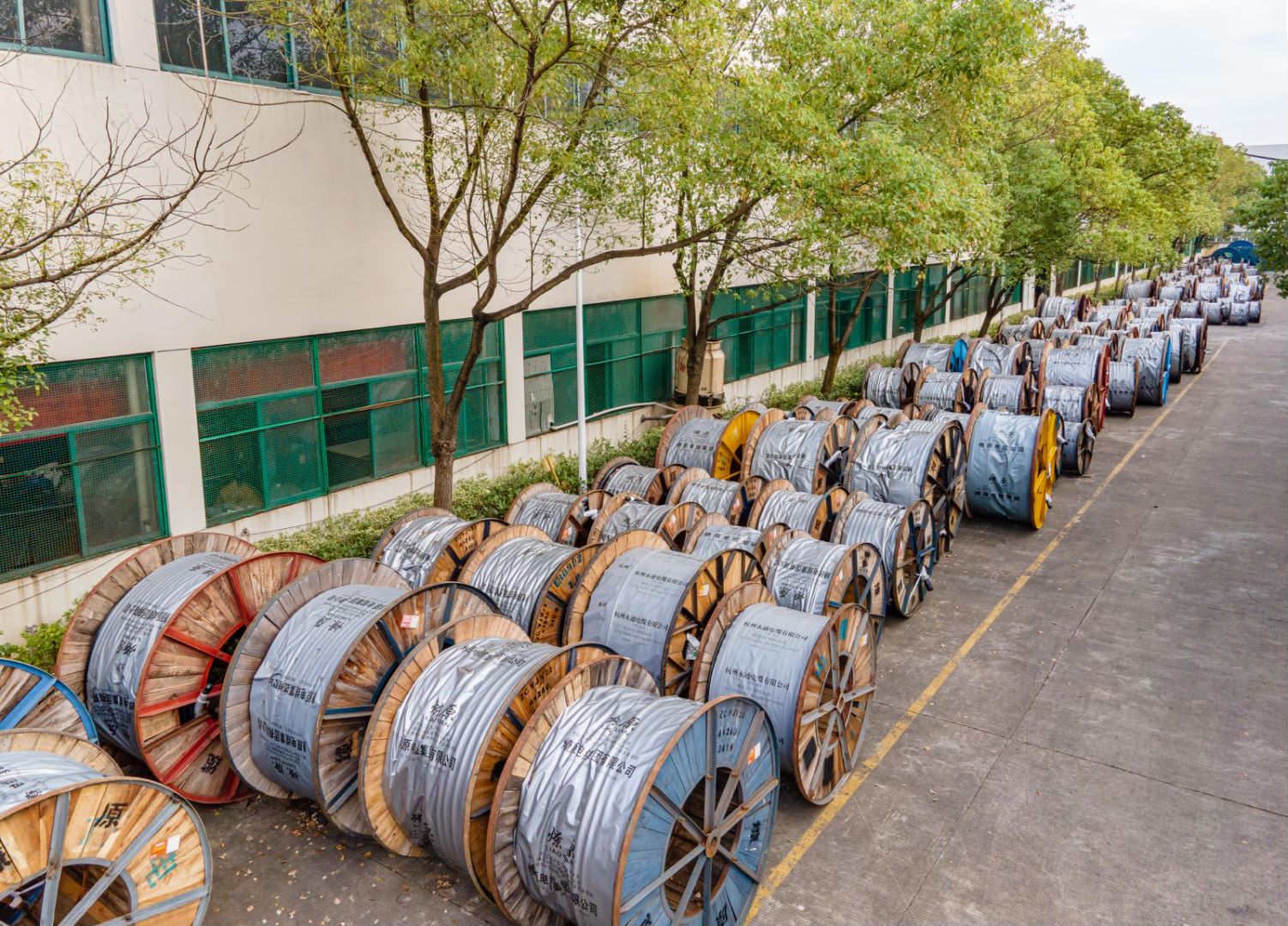 榮譽(yù)證書(shū)