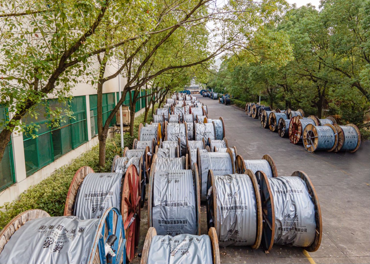 榮譽(yù)證書(shū)