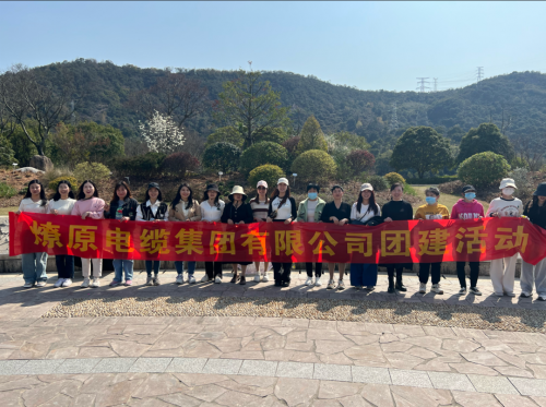 Company team building