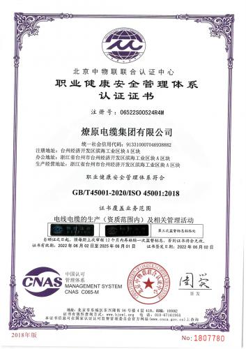 Occupational Health and Safety Management System